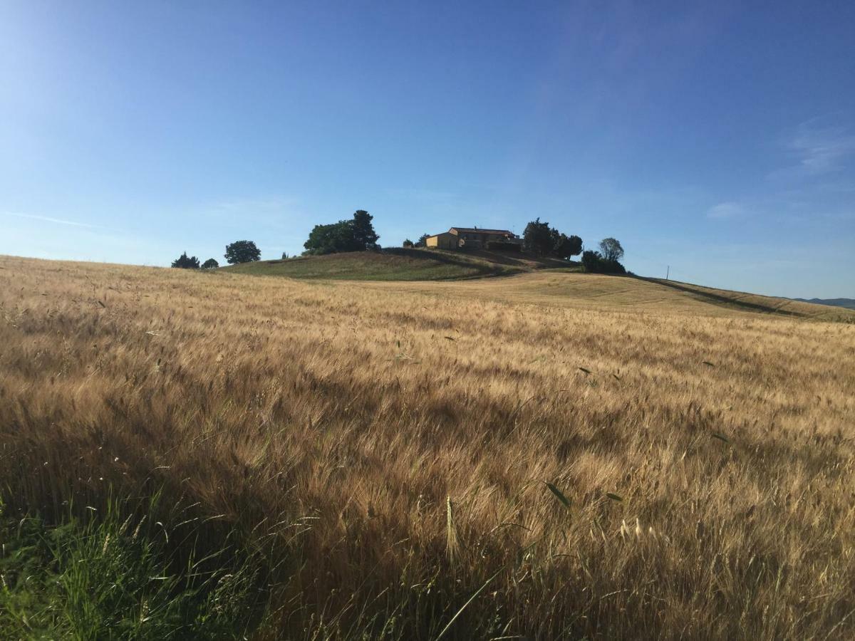 Poggio Alla Pietra 26 Porrona Exterior foto