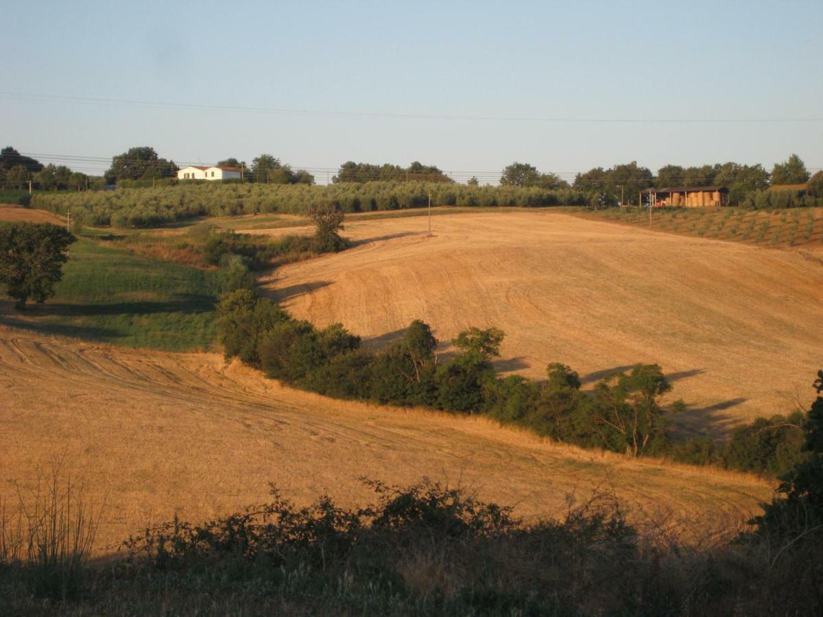 Poggio Alla Pietra 26 Porrona Exterior foto
