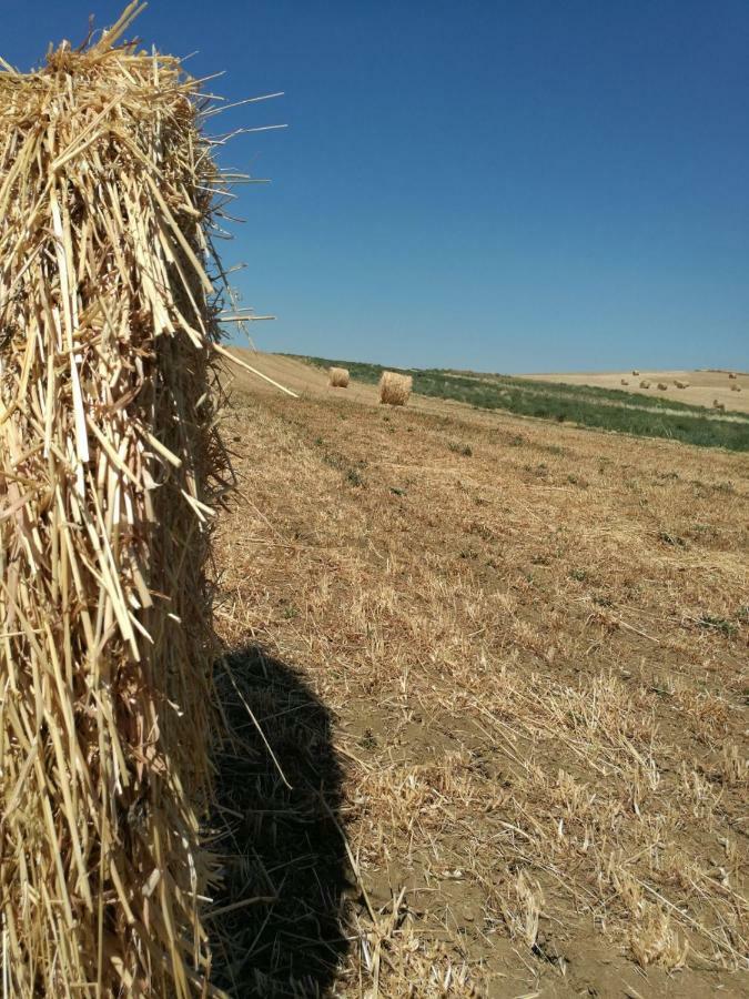Poggio Alla Pietra 26 Porrona Exterior foto